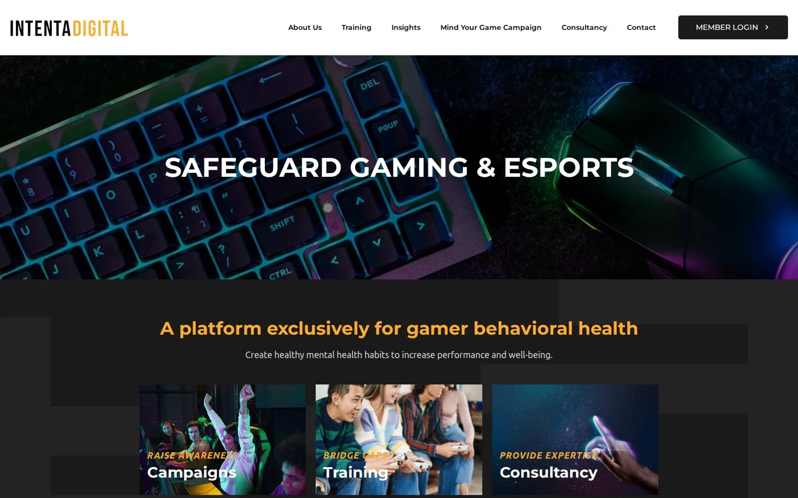 Screenshot: Intenta Digital